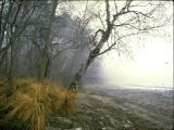 Grengpark am Murtensee: Winter