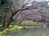 Kinkakuji garden 2 Kinkakuji garden 2