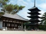 koufukuji,興福寺 koufukuji,興福寺
