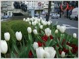 La Gran Vía en primavera