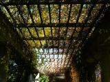 Colourful roof of the Pergola