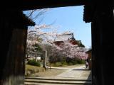 Ninna-ji
