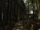 Miniature Shikoku Pilgrimage behind Ninna-ji