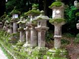 Stone Lanterns, Kasuga Taisha Shrine, Nara, Kansai, Japan Stone Lanterns, Kasuga Taisha Shrine, Nara, Kansai, Japan