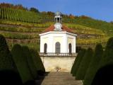 Belvedere Weingut Schloss Wackerbarth, Radebeul Belvedere Weingut Schloss Wackerbarth, Radebeul