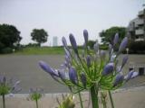 唐沢公園 唐沢公園