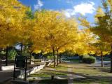 Liberty Park.