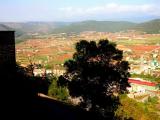 bonica Cardona (nació de Catalunya) bonica Cardona (nació de Catalunya)