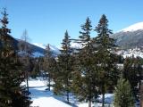 Davos 2008 Davos 2008