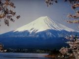 Fuji-san au printemps