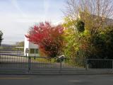 Schulanlage Brühl in Dornach Schulanlage Brühl in Dornach