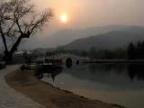 Beijing arboretum, China  北京植物园