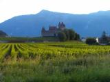Burg zu Aigle