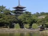Five story pagoda of Kofukuji temple Five story pagoda of Kofukuji temple