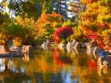 Japanese Friendship Garden Japanese Friendship Garden