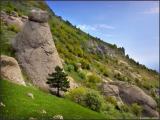 Деревья и камни - Trees and rocks Деревья и камни - Trees and rocks