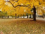 campus university of Delaware