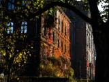 Wrocław-Muzeum Narodowe nad Odrą-gb-91