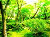 Ginkaku Temple