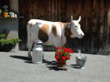 enfin une vache avec des cornes enfin une vache avec des cornes