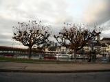 Hafen und See in Rapperswil