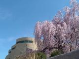 Smithsonian National Museum of the American Indian