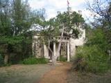 Elisabet Ney Museum