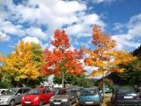 Couleurs d'automne Couleurs d'automne
