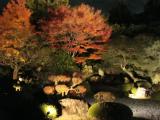 知恩院 知恩院