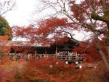 東福寺 東福寺