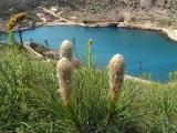 Balaklava bay, submarine dock entrance, Crimea