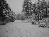 NEVE A POTENZA NEVE A POTENZA