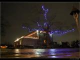 night MSH by JP night MSH by JP