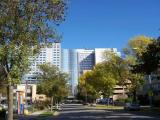 Mayo Clinic - Rochester, MN Mayo Clinic - Rochester, MN