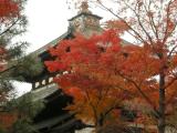 Tofukuji temple,Kyoto city,Dec 5 2008 東福寺(京都市)2008年12月5日 Tofukuji temple,Kyoto city,Dec 5 2008 東福寺(京都市)2008年12月5日