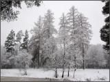 Gatchina. Prioratsky park. Gatchina. Prioratsky park.