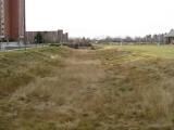 Drainage Ditch