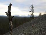 Pyhän suuntaan