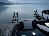 Le cygne du Chateau de Chillon Le cygne du Chateau de Chillon