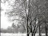 Gatchina. Prioratsky park. Gatchina. Prioratsky park.