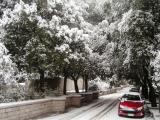sotto la neve sotto la neve