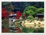 京都 京都