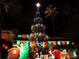 ホノルル市庁舎のクリスマスツリー