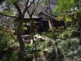 広島市西区三滝寺 広島市西区三滝寺