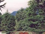 Garmisch Park Clock Garmisch Park Clock