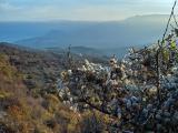 вид на Алушту вид на Алушту