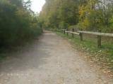 Cuneo - autunno al parco fluviale