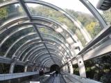 広島市南区比治山スカイウォーク 広島市南区比治山スカイウォーク