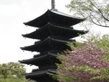 Toji temple 東寺 Toji temple 東寺