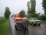 Gipsy from Targovishte Gipsy from Targovishte